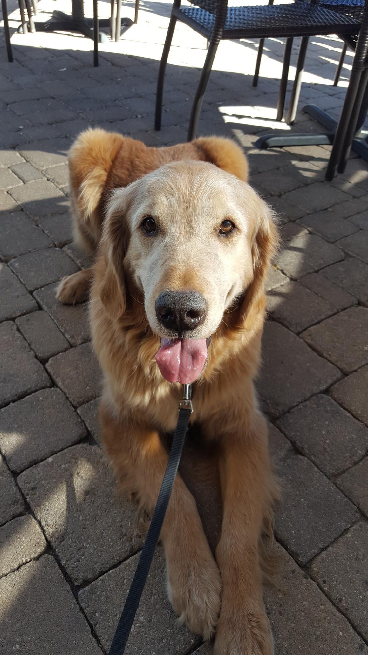 Keegan's restaurant view 3