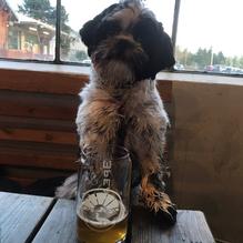 3Peaks Public House & Taproom restaurant view 2