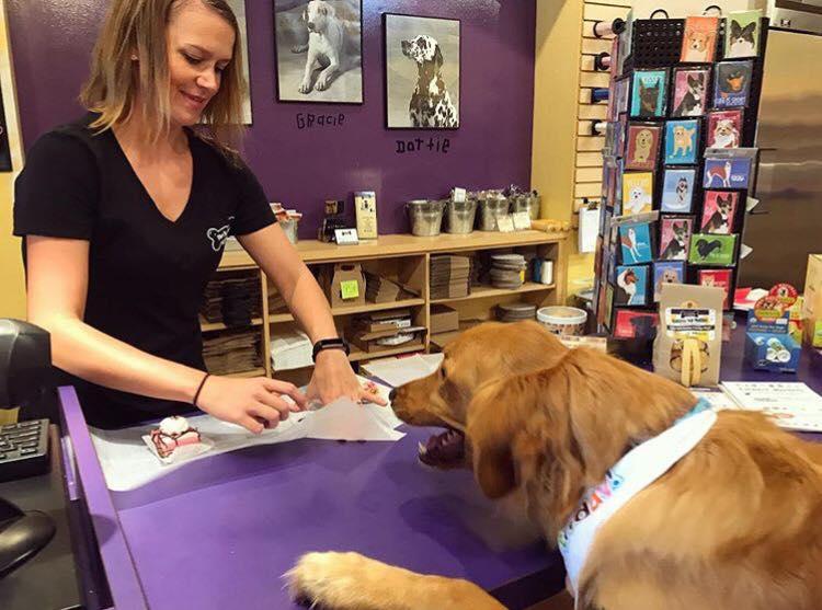 Broad ripple outlet dog bakery