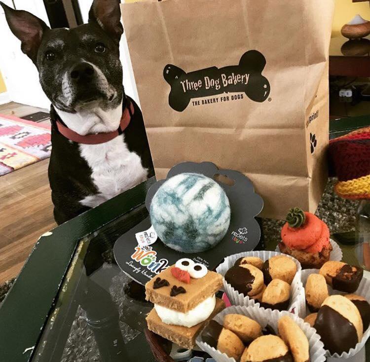 Pet Friendly   Three Dog Bakery – Indianapolis - Downtown