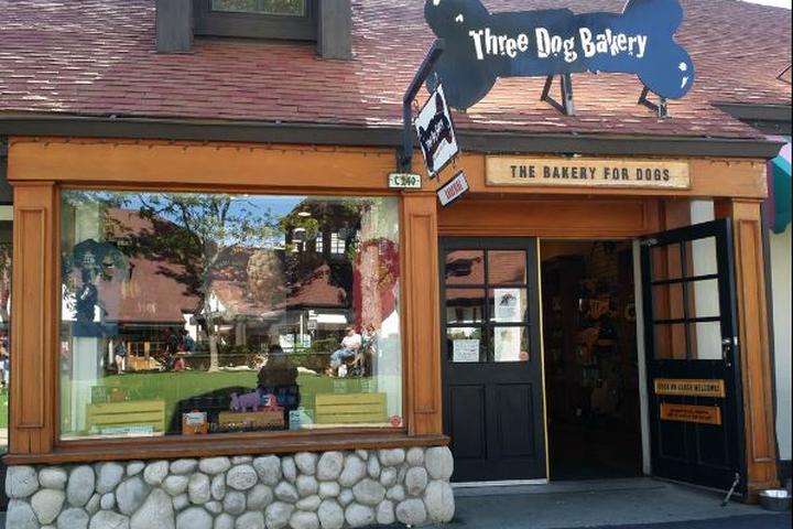 Arrowhead puppy store Clearance