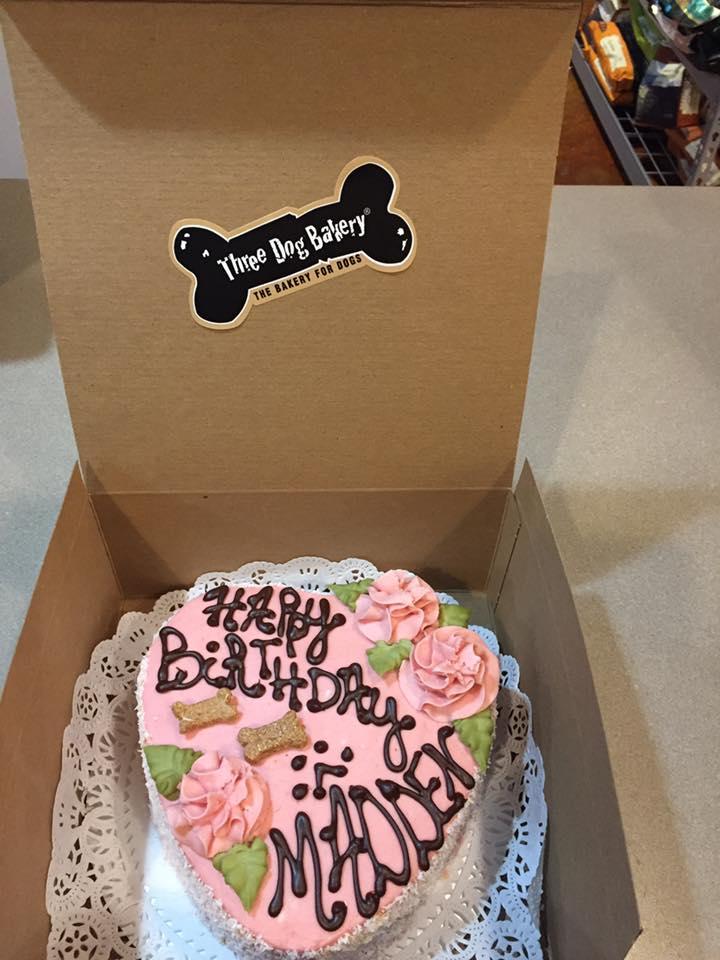 3 dog bakery
