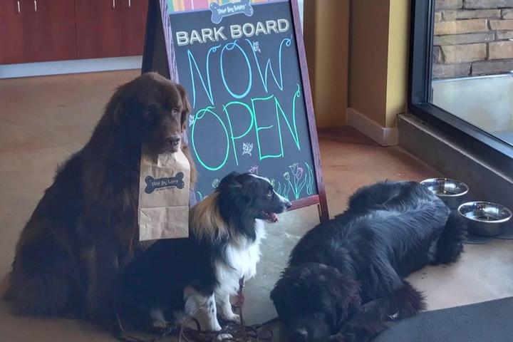 Pet Friendly Three Dog Bakery – Overland Park