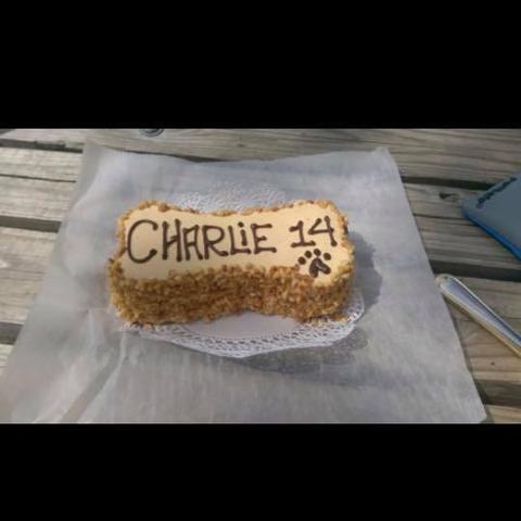 Three Dog Bakery Perrysburg