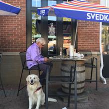 The Corner Taqueria restaurant view 1