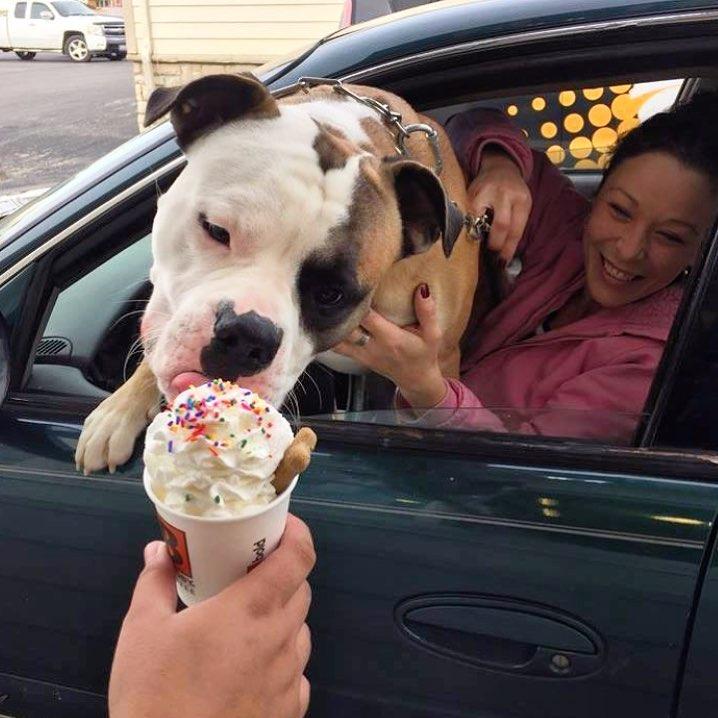 Dog Friendly Coffee Shops in Wausau WI BringFido