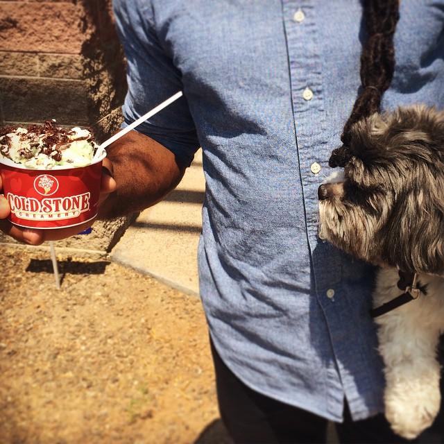 cold stone puppy ice cream