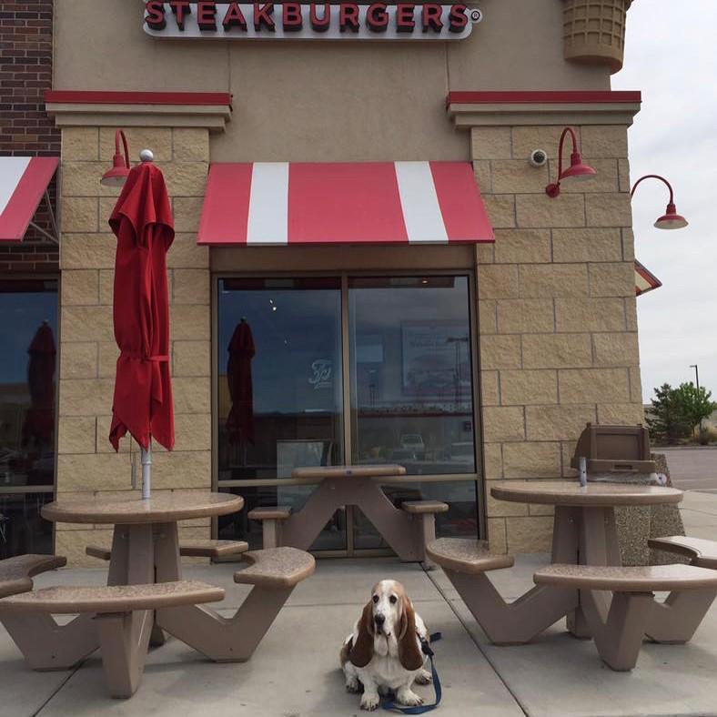 Freddy's Frozen Custard & Steakburgers Pet Policy