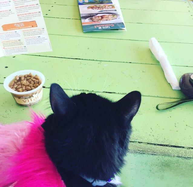 Hurricane Wings & Grill restaurant view 14