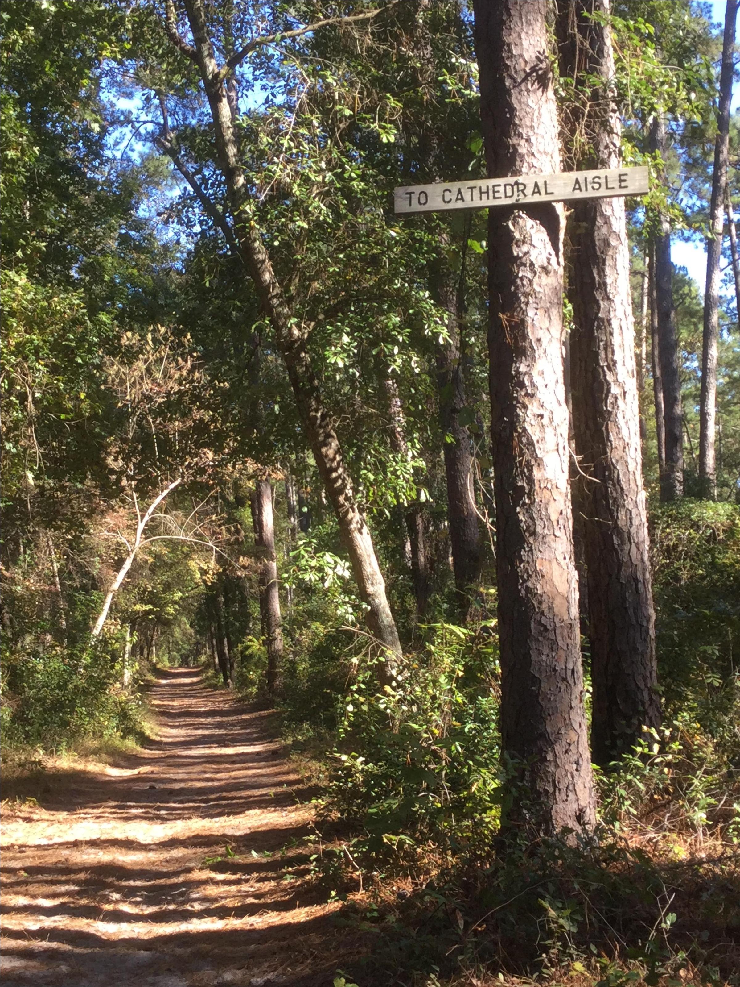 Start of Cathedral Aisle Trail â BringFido