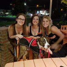 Hooters restaurant view 1