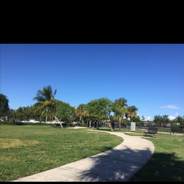 Dog Friendly Pompano Beach Fl Bringfido