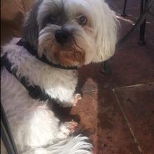 Patio Filipino restaurant view 1