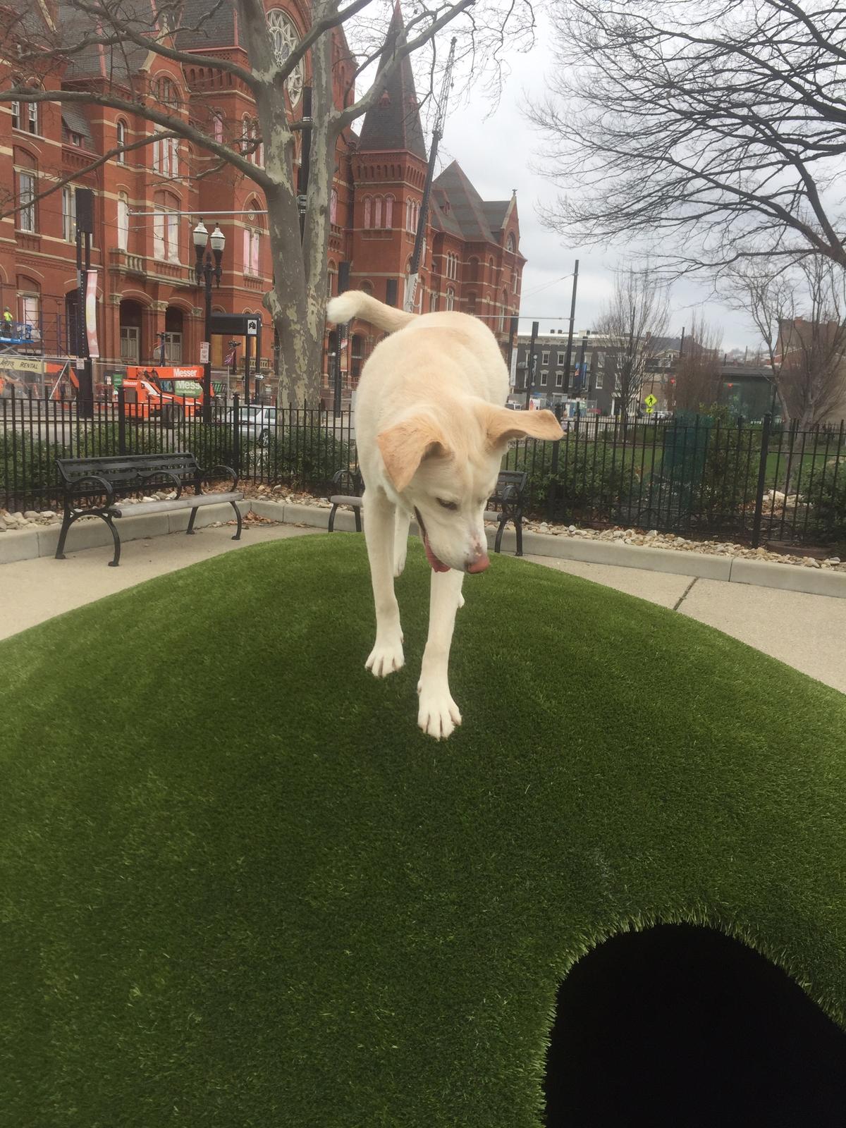 On The Hill