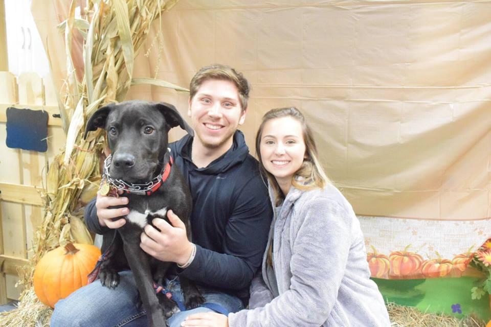 Our family pet sitting cheap
