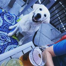 Local Burger Co. restaurant view 2