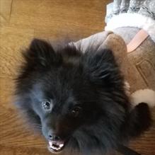 Stir restaurant view 3