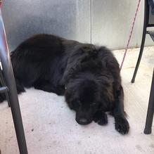 The Service Station restaurant view 5