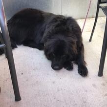 The Service Station restaurant view 7