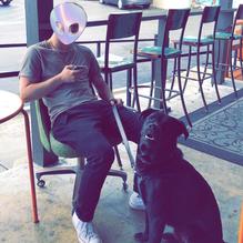 Zebra House Coffee restaurant view 2