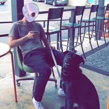 Zebra House Coffee restaurant view 1