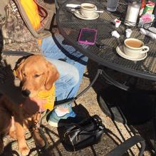 Louie's Cafe restaurant view 2