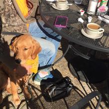 Louie's Cafe restaurant view 6