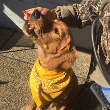 Louie's Cafe restaurant view 5