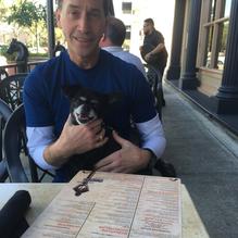 Harry's Seafood Bar and Grill restaurant view 4