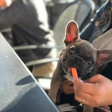 Buffalo Wild Wings restaurant view 1