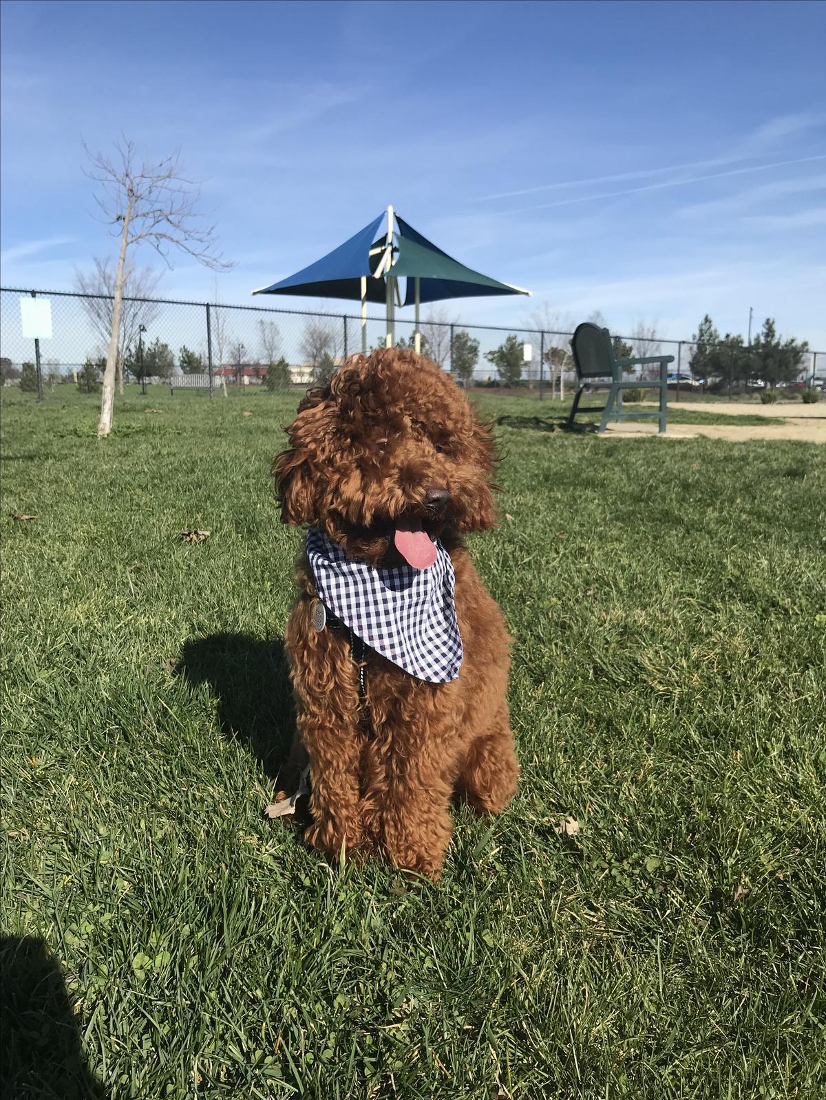 By far, our favorite park!