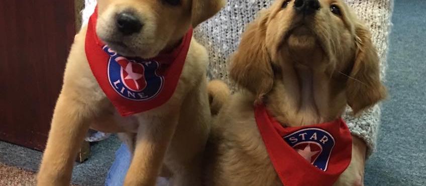 Dog Friendly Saint Ignace, MI