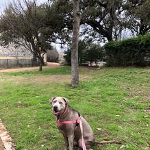 Doc's Bar & Grill restaurant view 2