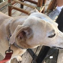 Get Hooked Grill restaurant view 4