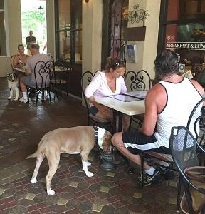 EJs Bayfront Cafe