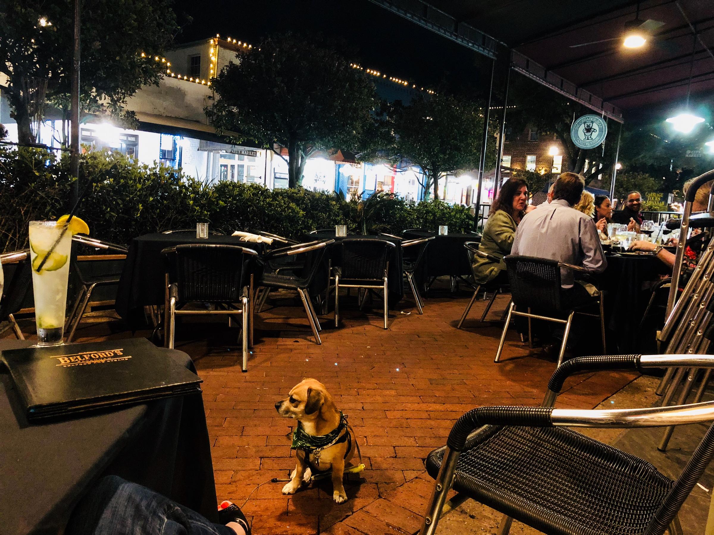 Astro the Dog Belford’s in Savannah City Market ⋆ BringFido