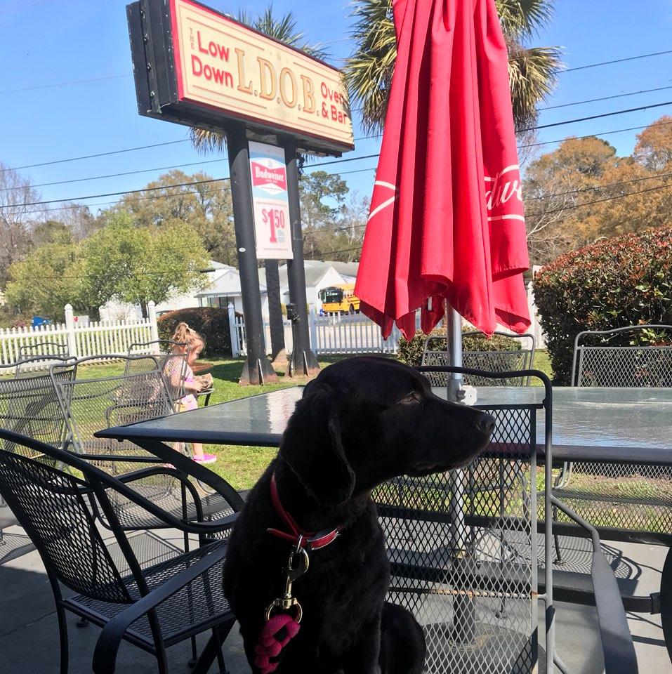 Lowdown Oven & Bar (L.D.O.B) restaurant view 2