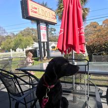 Lowdown Oven & Bar (L.D.O.B) restaurant view 2