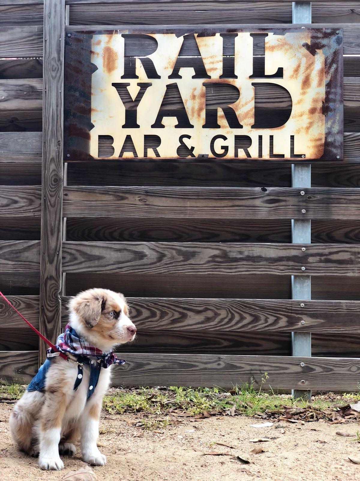 Railyard Bar & Grill restaurant view 8