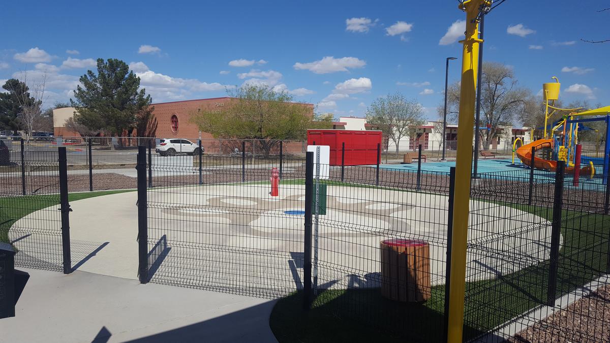 Dog friendly splash shop pad near me