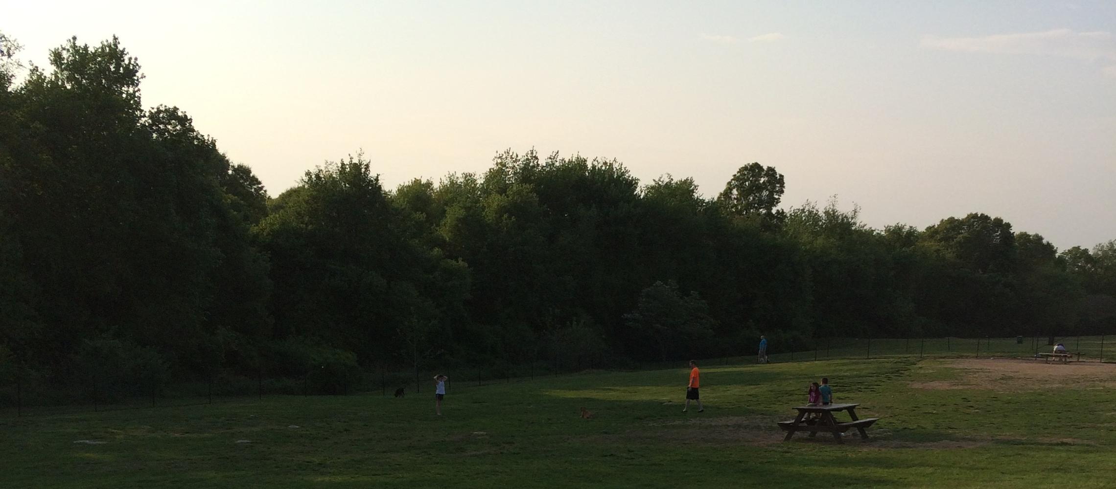 A (cropped version of the original upload which was appearing sideways), photo of the from the large dog enclosure in the Stenger Farm Dog Park in Waterford. A (cropped version of the original upload which was appearing sideways), photo of the from the large dog enclosure in the Stenger Farm Dog Park in Waterford.