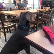 Beso Bistro and Wine Bar restaurant view 1