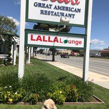 Elli's Great American Restaurant restaurant view 5