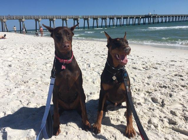 day at the beach
