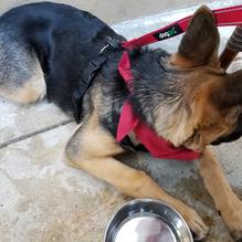 Lime Fresh Mexican Grill restaurant view 2