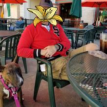 Waxy O'Shea's Irish Pub restaurant view 6