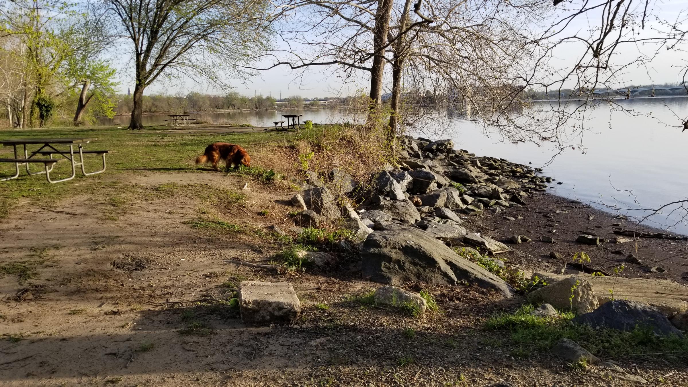 Belle Haven Park ⋆ BringFido