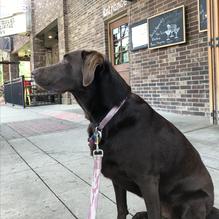 Inzo Italian Kitchen restaurant view 2