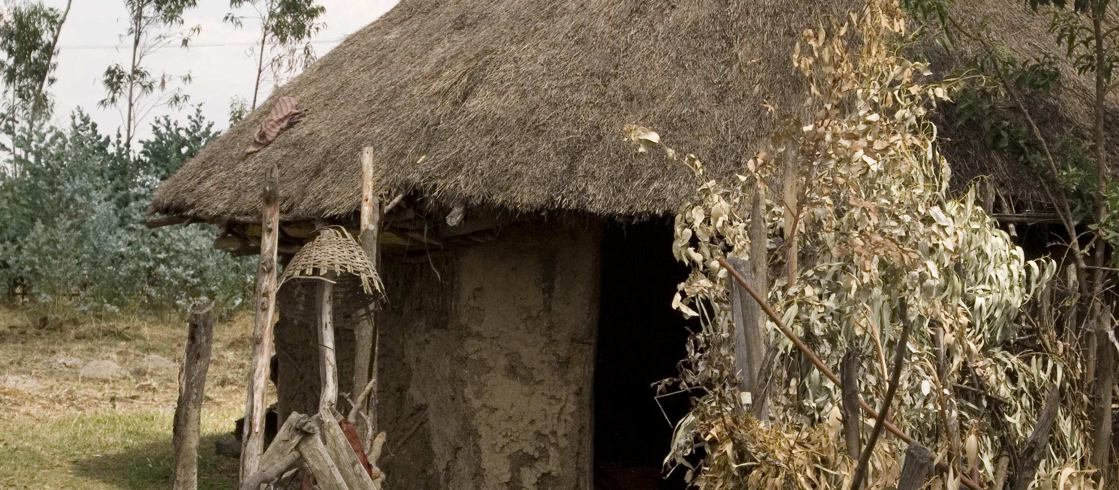 Dog Friendly Ethiopia