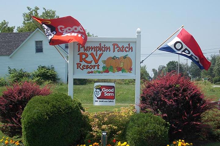 Pet Friendly Pumpkin Patch RV Resort